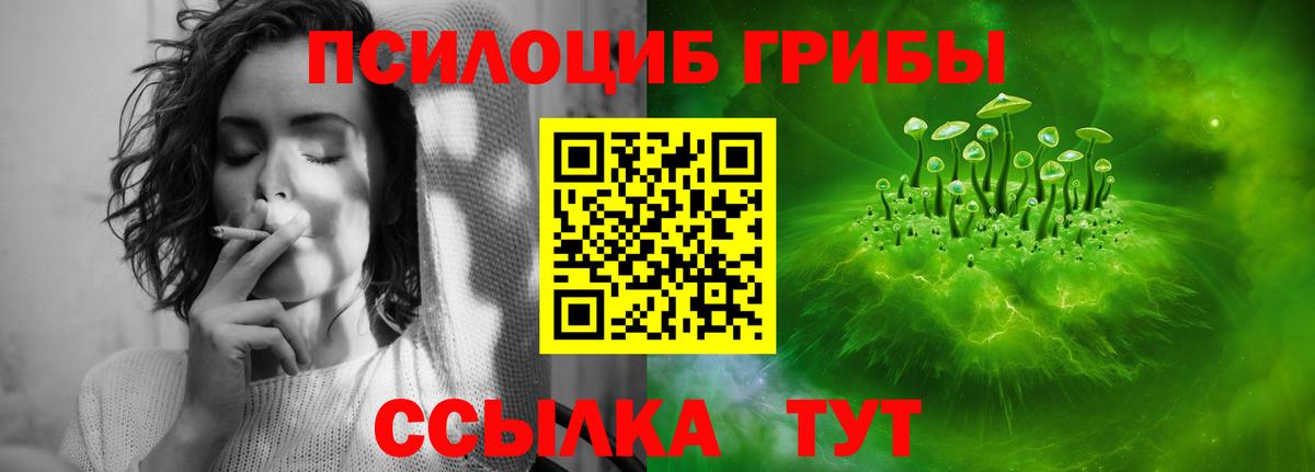 Псилоцибиновые грибы GOLDEN TEACHER  где купить наркотик  Вход с VPN  Рязань  Псилоцибиновые грибы мухоморы 